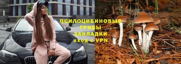 спиды Гусиноозёрск