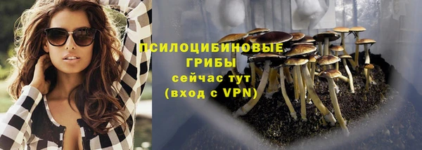 jwh Гусев
