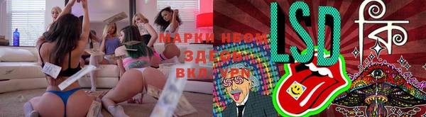 jwh Гусев
