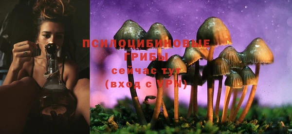 гидропоника Новозыбков